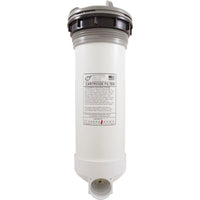 Skim Filter Complete, WW DynaFlo Plus, 50sqft, Gray