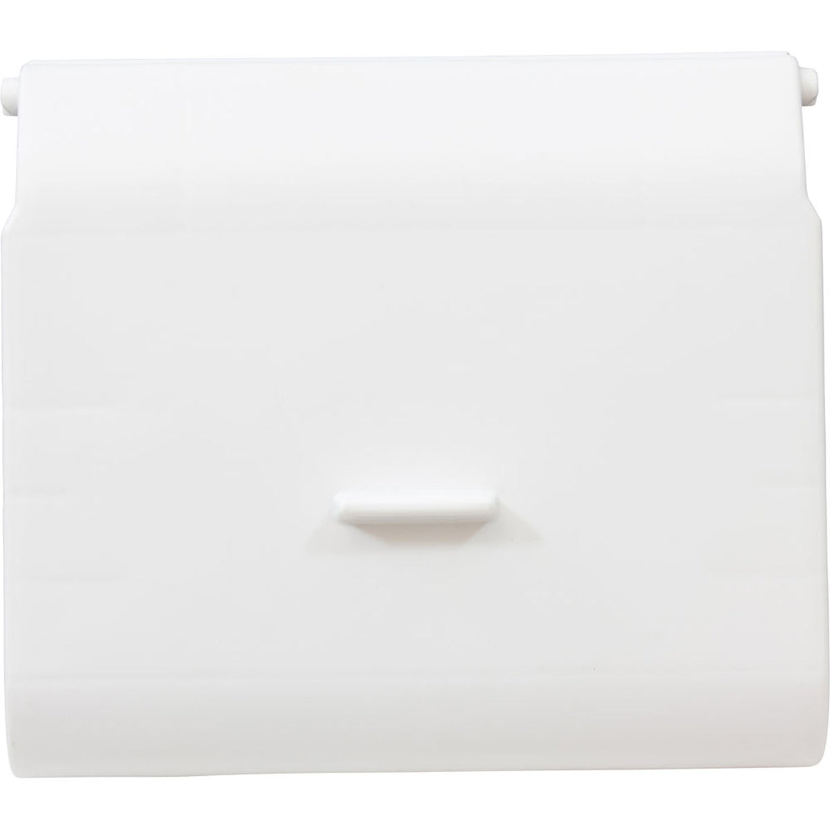 Skimmer Float, Carvin/Jacuzzi SV