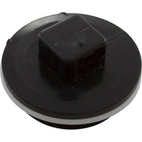 Plug, Jacuzzi Deckmate Skimmer/MD Series Drain, 2", w/Gasket