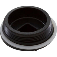 Plug, Jacuzzi Deckmate Skimmer/MD Series Drain, 2", w/Gasket