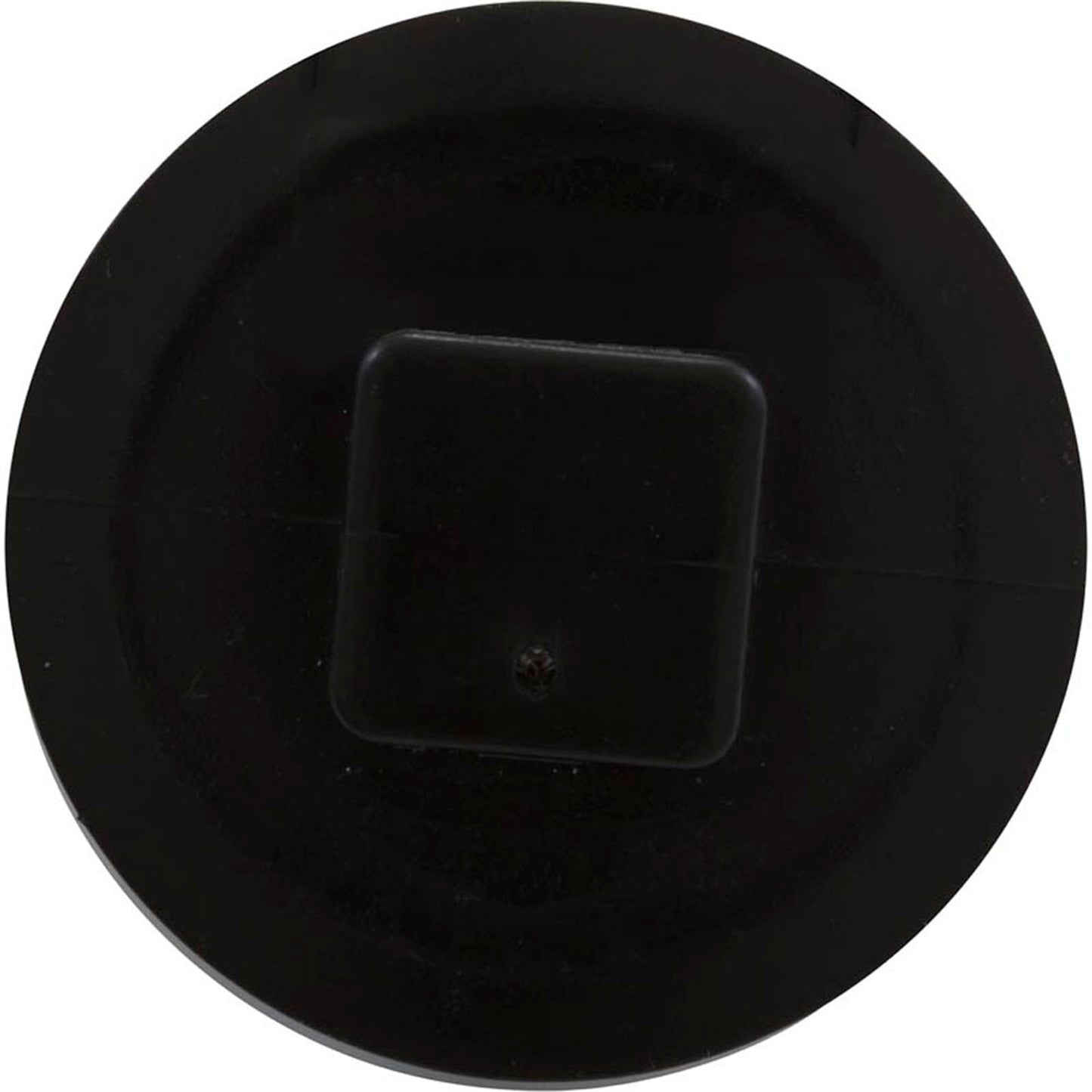 Plug, Jacuzzi Deckmate Skimmer/MD Series Drain, 2", w/Gasket