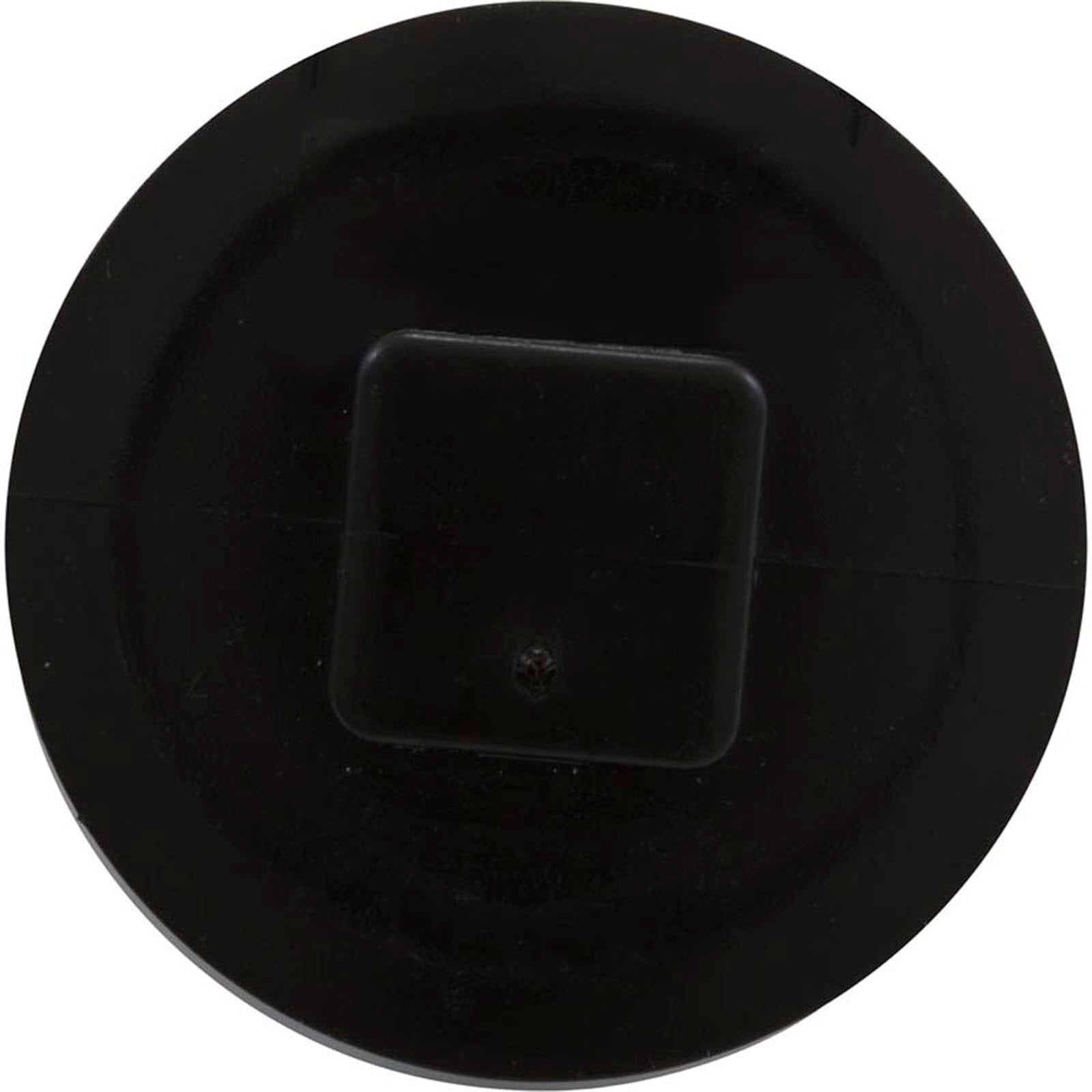 Plug, Jacuzzi Deckmate Skimmer/MD Series Drain, 2", w/Gasket