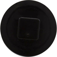 Plug, Jacuzzi Deckmate Skimmer/MD Series Drain, 2", w/Gasket