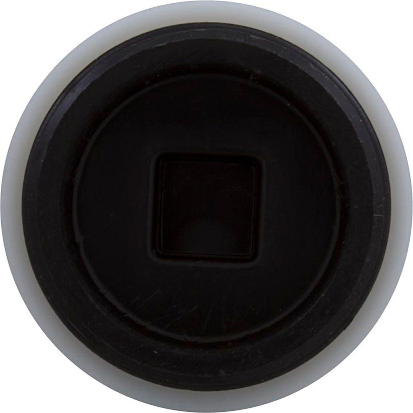 Plug, Jacuzzi Deckmate Skimmer/MD Series Drain, 2", w/Gasket