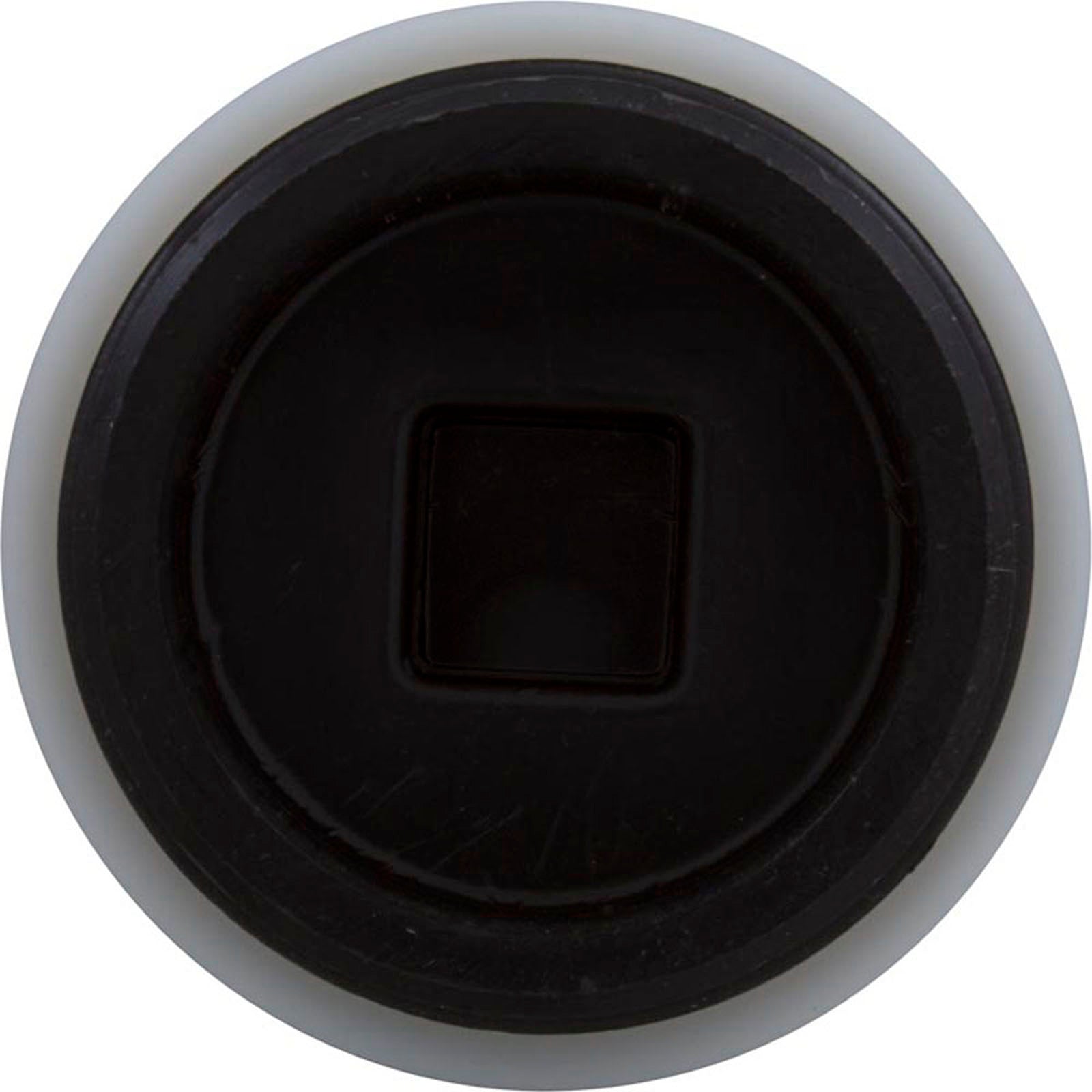 Plug, Jacuzzi Deckmate Skimmer/MD Series Drain, 2", w/Gasket