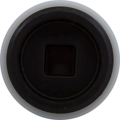 Plug, Jacuzzi Deckmate Skimmer/MD Series Drain, 2", w/Gasket