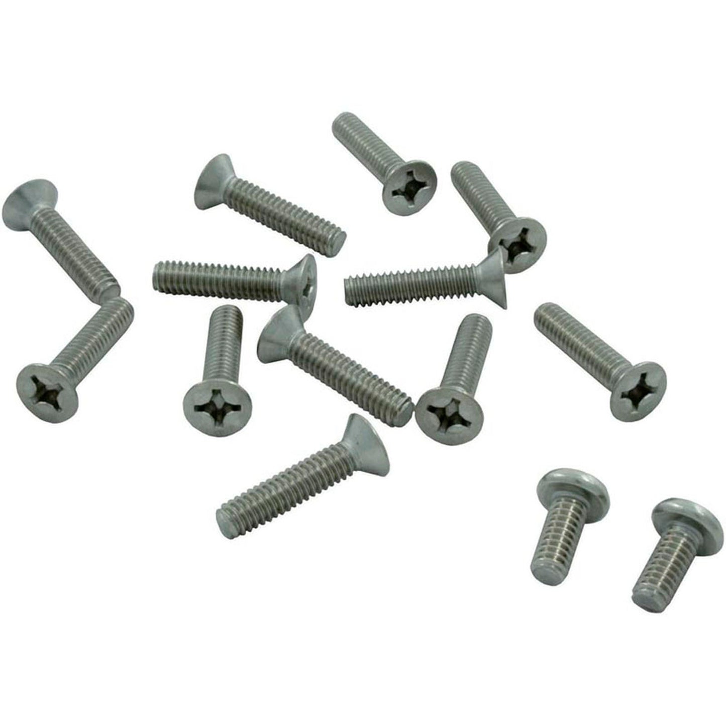Screw Kit, Hayward SP1076/1084 Skimmer, Faceplate