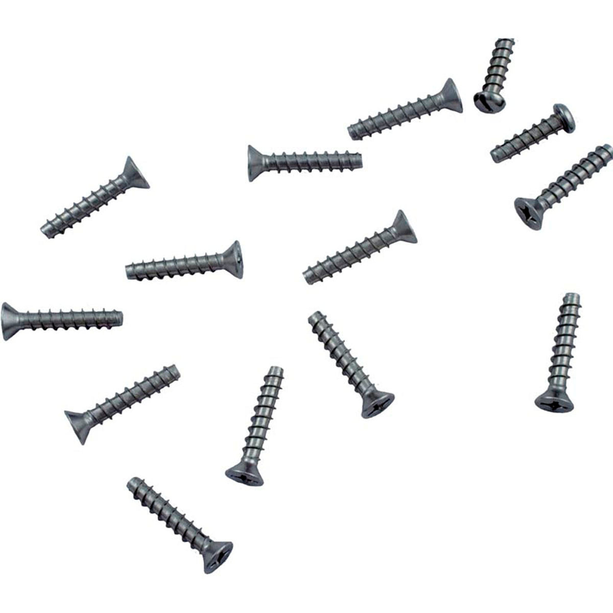 Screw Kit, Hayward SP1076/1084 Skimmer, Faceplate, Long