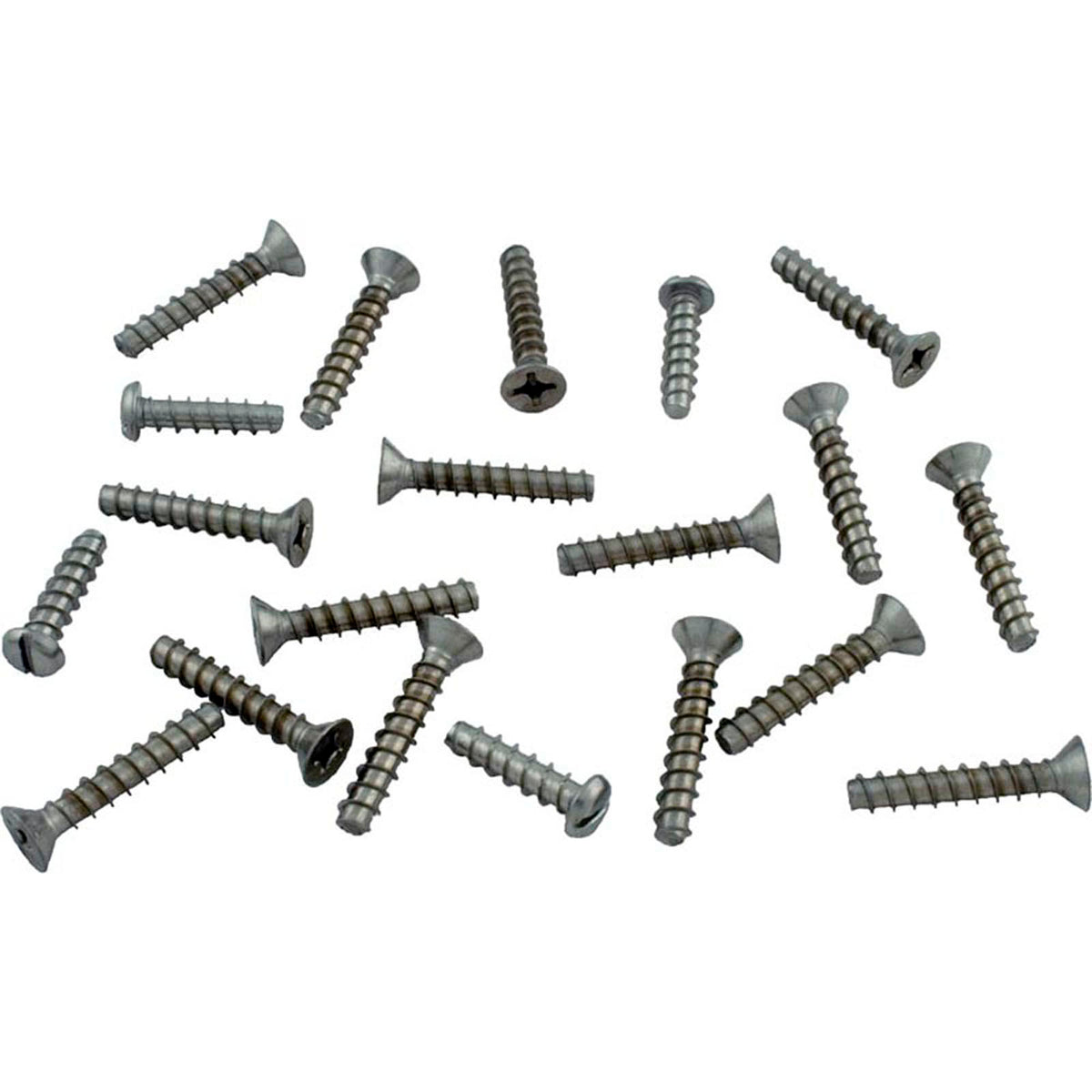 Screw Kit, Hayward SP1077/1085 Skimmer, Faceplate, Long