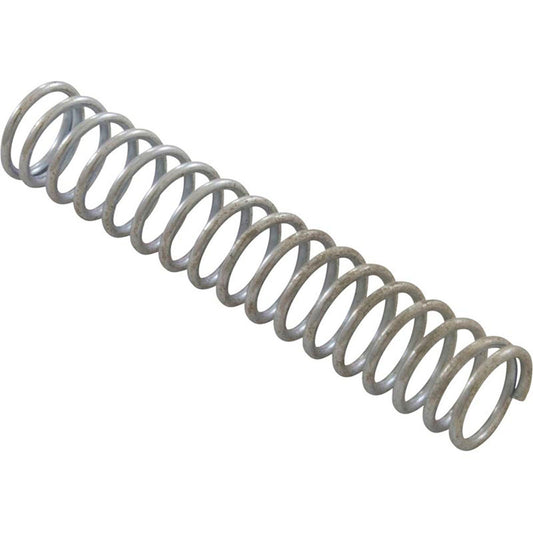 Ressort, écumoire Waterco Baker Hydro/Purex, clapet anti-retour