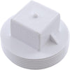 Plug, Waterway, 2" Male Pipe Thread