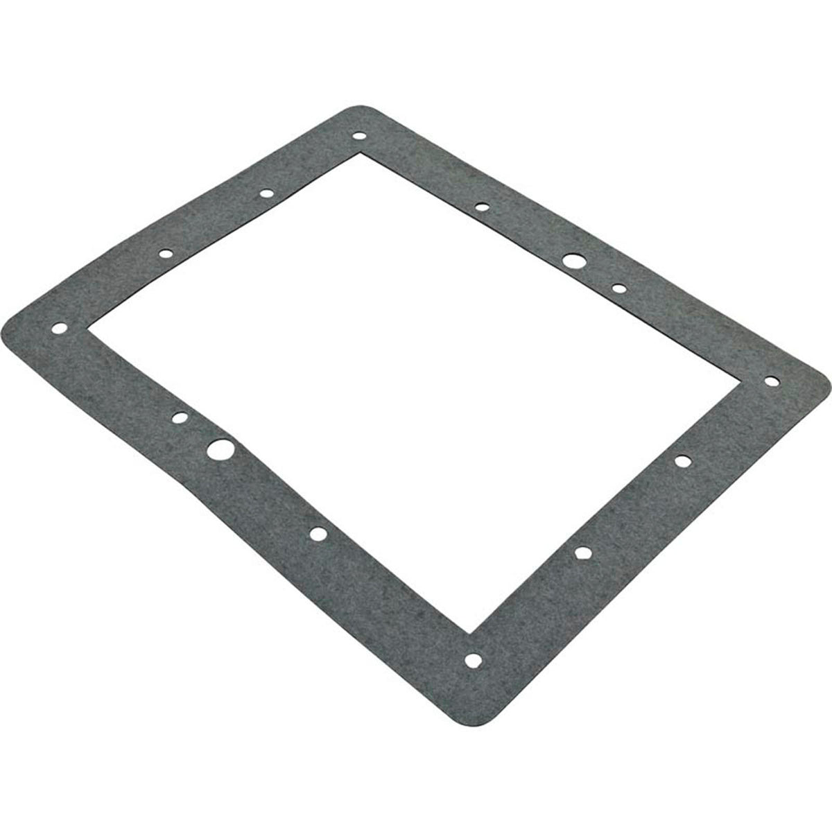 Gasket, Aladdin, Skimmer Face Ring