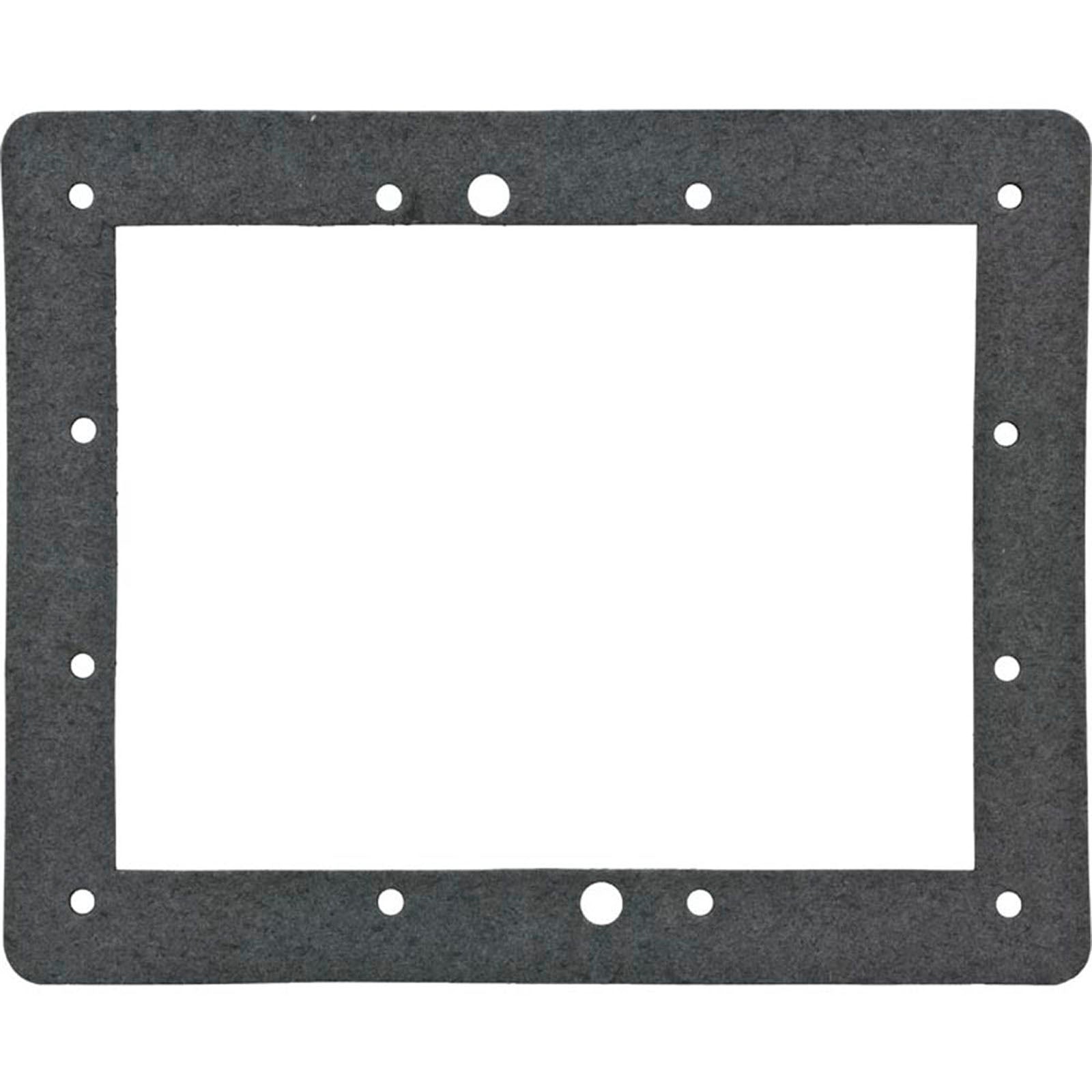 Gasket, Aladdin, Skimmer Face Ring
