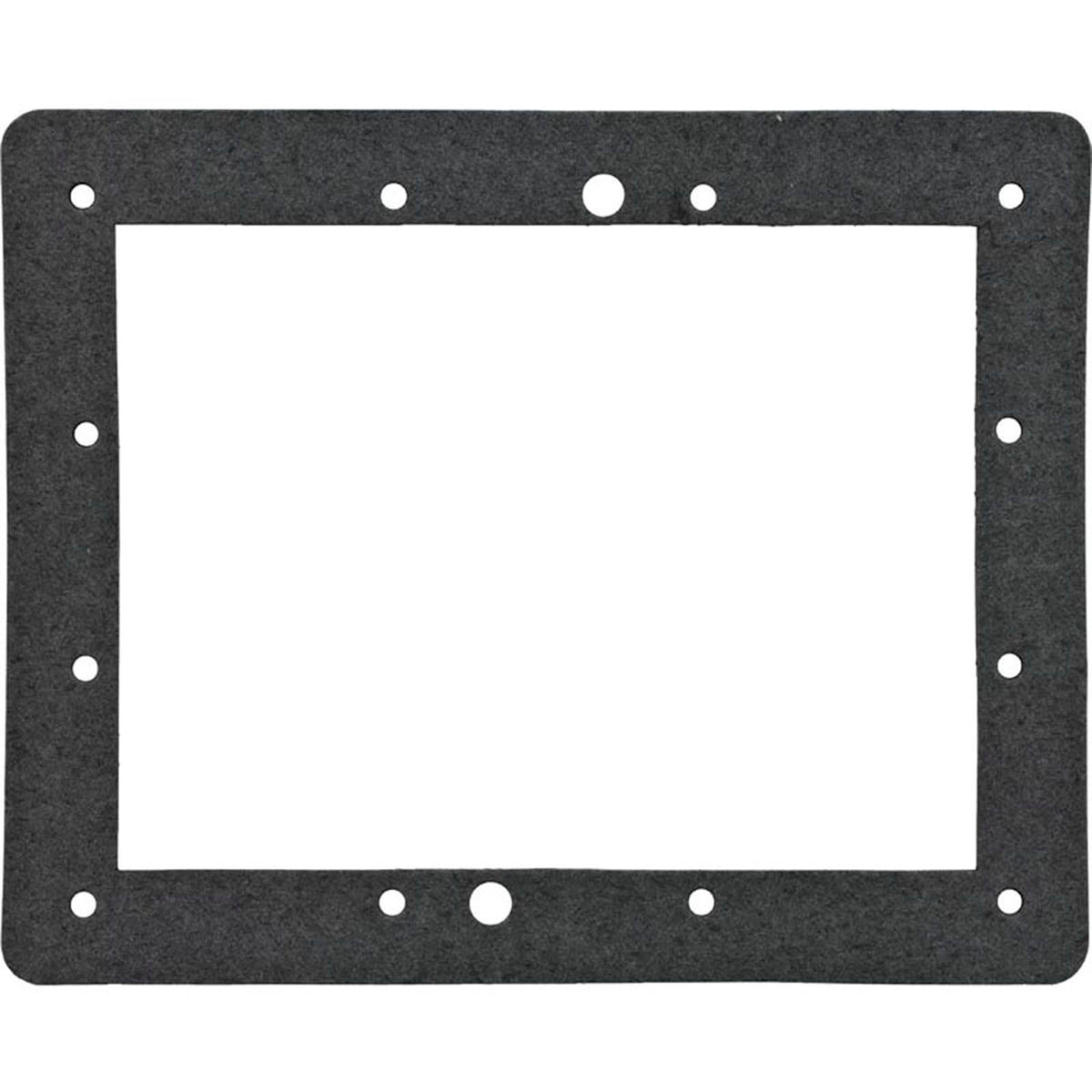 Gasket, Aladdin, Skimmer Face Ring