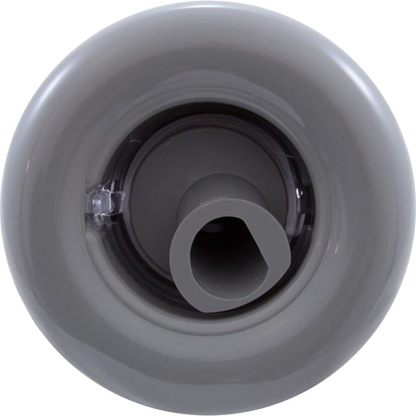 Jet Intl, BWG/PentairLuxury, 3-1/2" fd, Roto, Smth, Gry