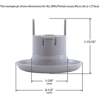 Jet Intl, BWG/PentairLuxury Micro, 2-1/2"fd, Dir, Txt Scal, Slvr