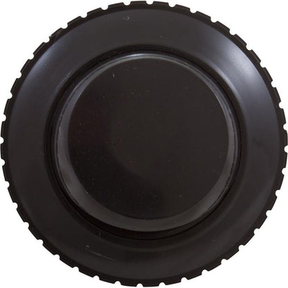 Inlet Fitting, Pentair, 1-1/2"mpt, Slotted Orifice, Black