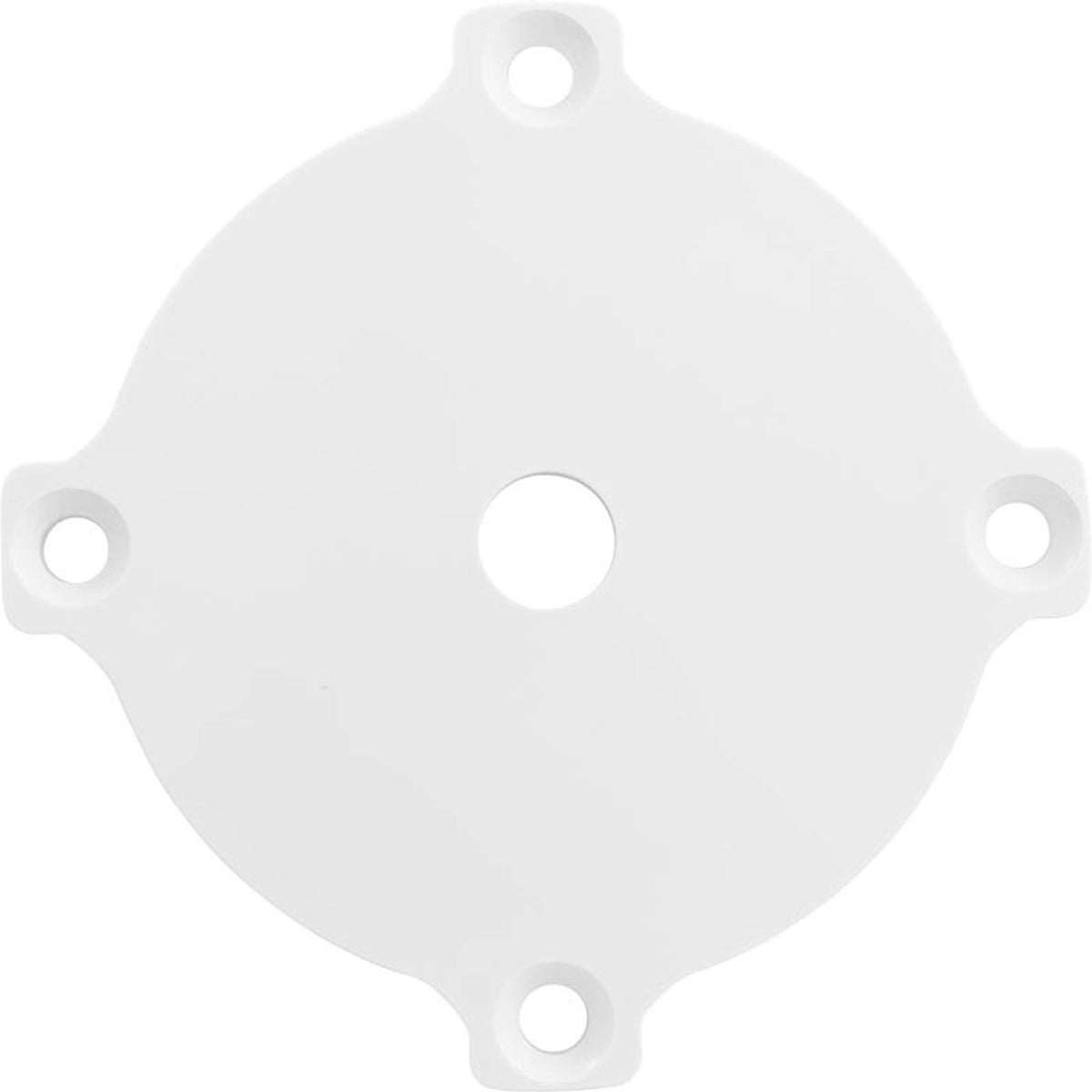 Diffuser Plate, Hayward, White