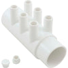 Manifold, 3/4"b, 6 port, Flow Thru, 2"s x 2"spg, w/2 plugs