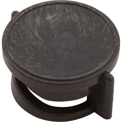 Plunger, Waterway, 1", Air Control