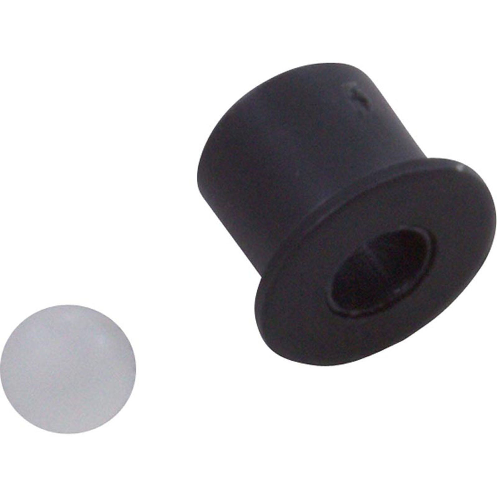 Check Valve Assembly, Waterway Poly Jet, Barb Air