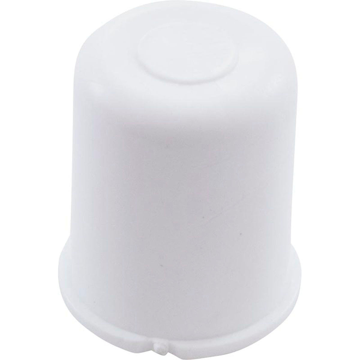 Plug, Lasco, 1/2" Slip
