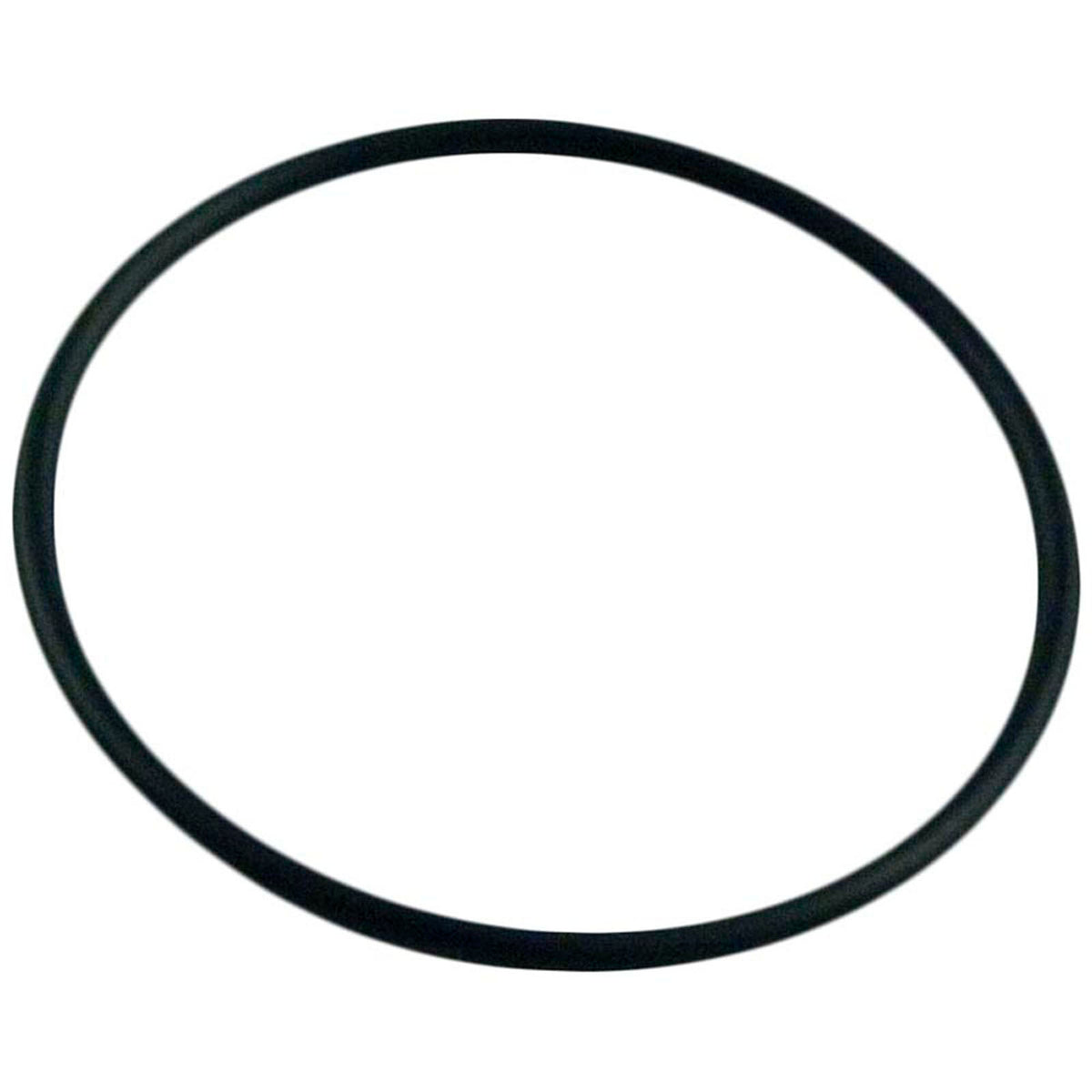 O-Ring, WW Adj Mini Jet, O-608, 1 req