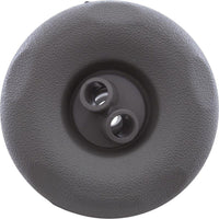 Waterway Plastics-Jet Intl, WW Mini Storm, 3"fd, Twin Roto, Textured Scal, Gry