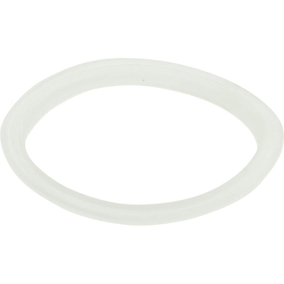 Gasket, "L", Waterway Poly Storm Jet