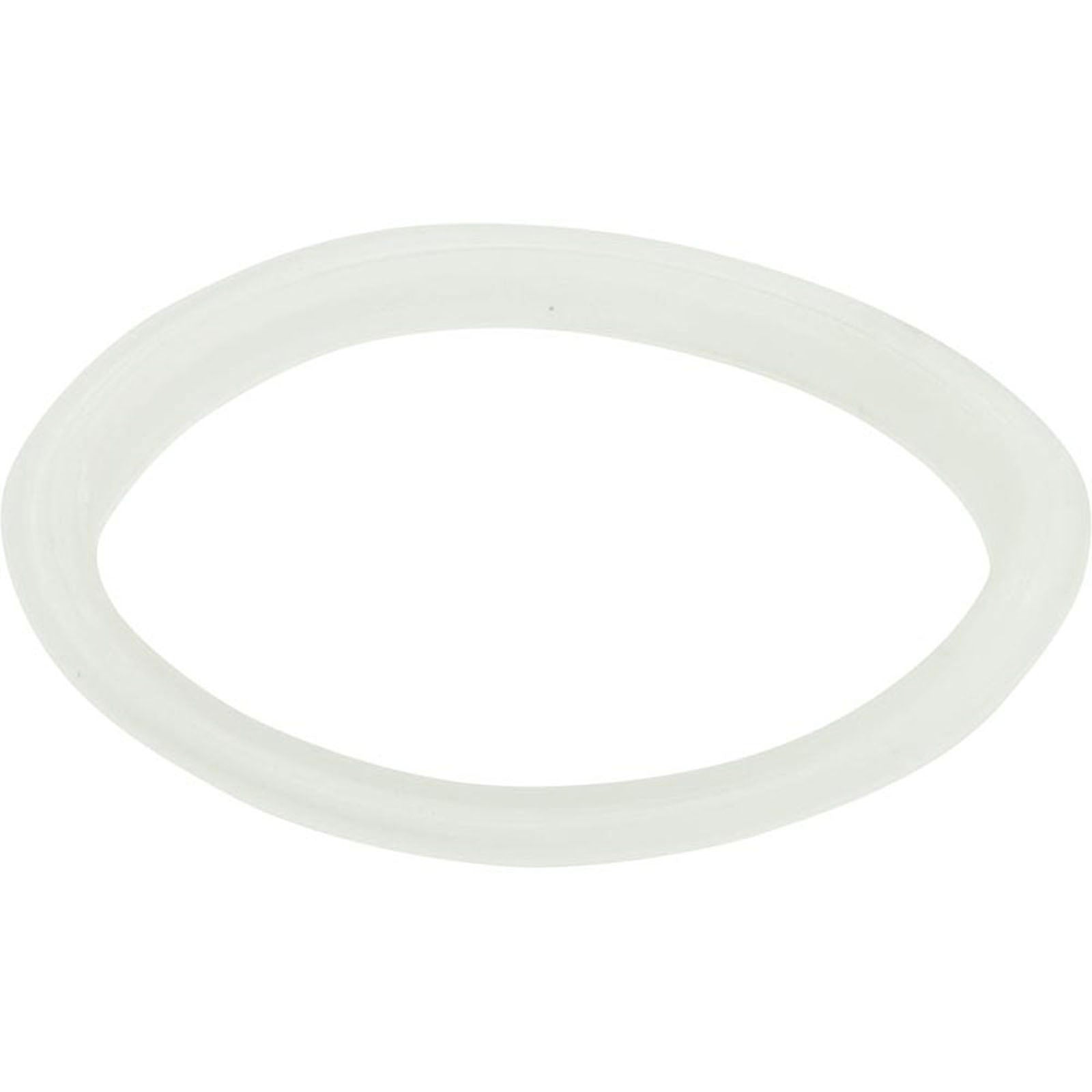 Gasket, "L", Waterway Poly Storm Jet
