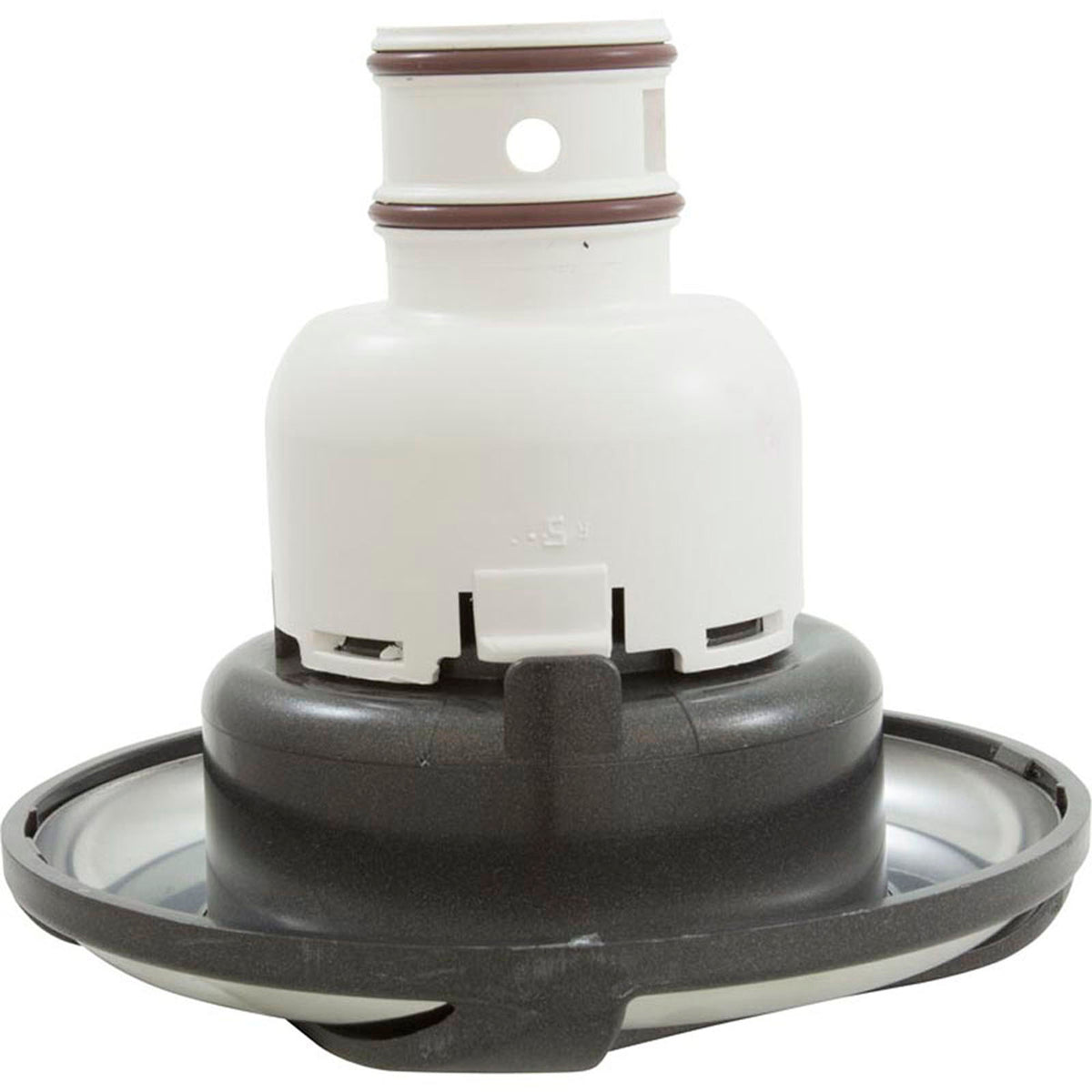 Jet Intl, WW Whirlpool Non-Adj, Swirl, 5-1/2"fd, Dir, SS/Dk Gry