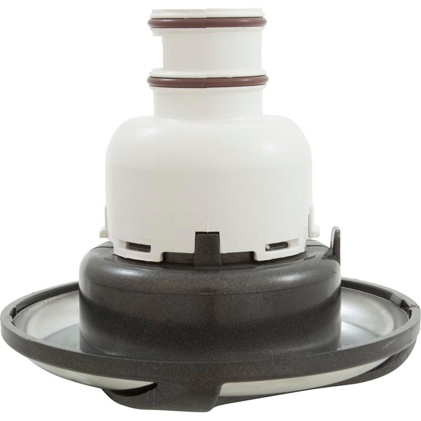 Jet Intl, WW Whirlpool Non-Adj, Swirl, 5-1/2"fd, Dir, SS/Dk Gry