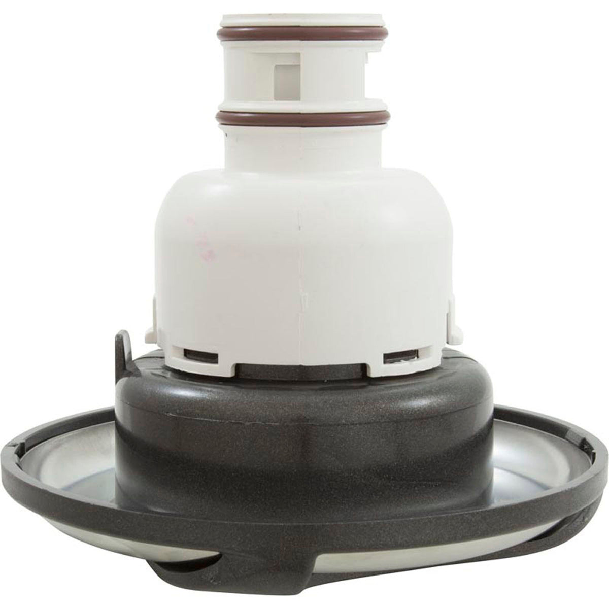 Jet Intl, WW Whirlpool Non-Adj, Swirl, 5-1/2"fd, Dir, SS/Dk Gry