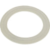 Gasket, Balboa Water Group/HAI Slimline Suction/Hydro Jet