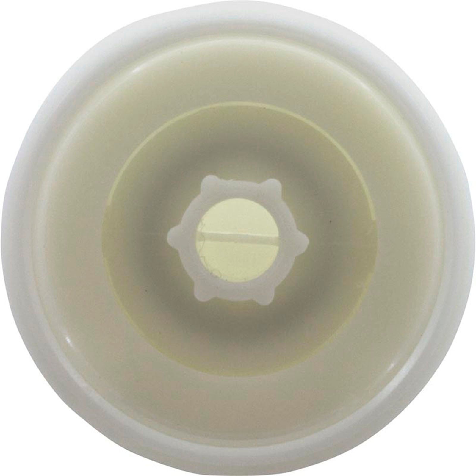Nozzle, Balboa Water Group/HAI Magna Series, White