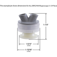Nozzle, Balboa Water Group/HAI Magnassage, Roto, White