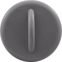 Air Ctrl Stem Assembly, BWG/HAI Slimline, 1", Gray