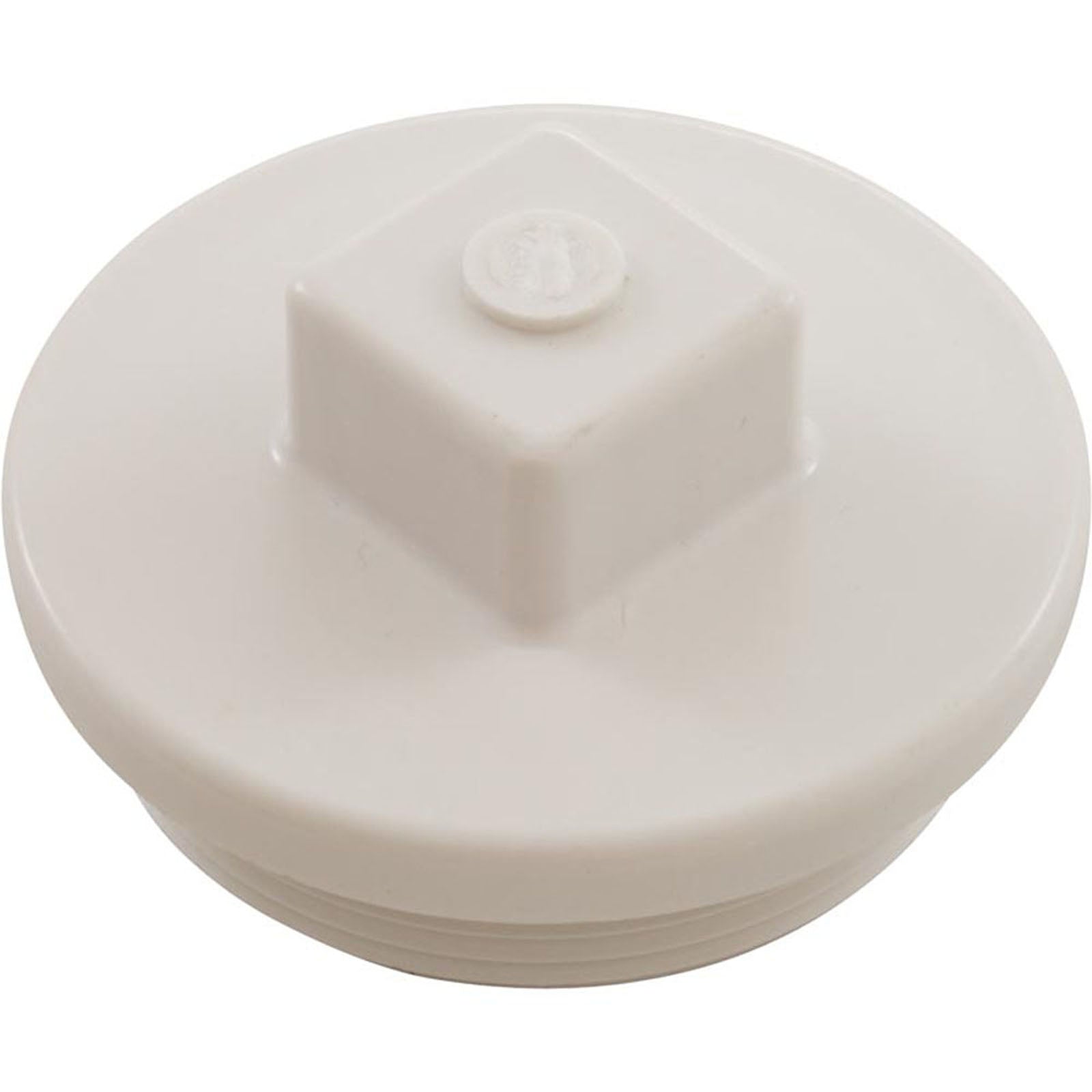 Plug, Main Drain, 2", Gunite