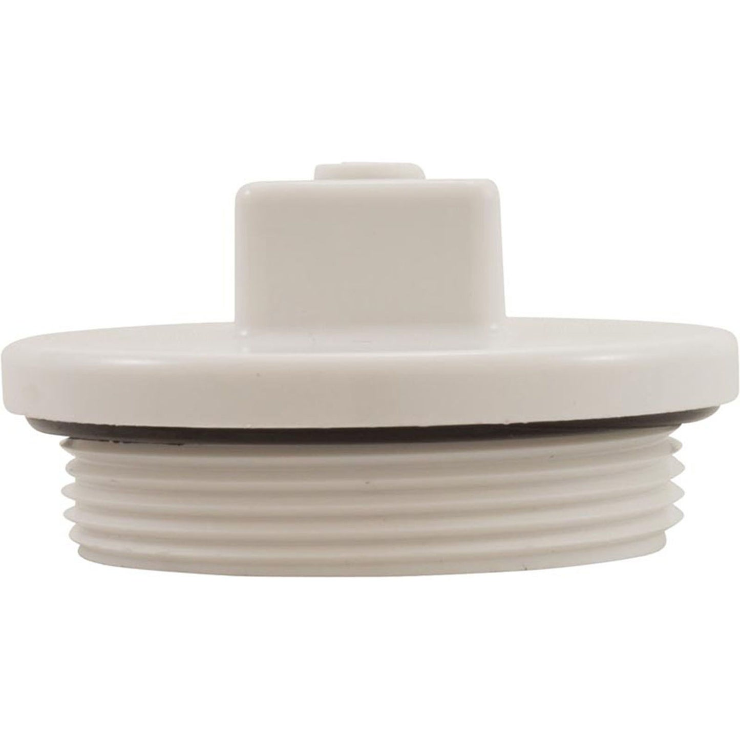 Plug, Main Drain, 2", Gunite