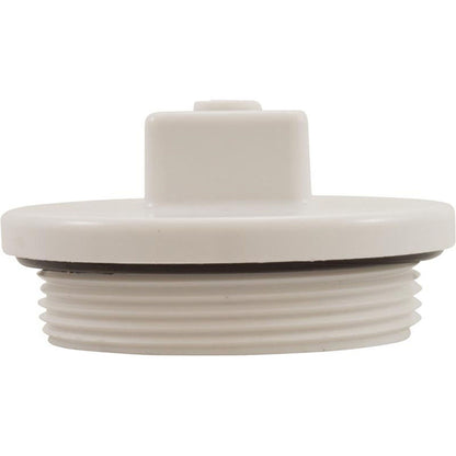 Plug, Main Drain, 2", Gunite