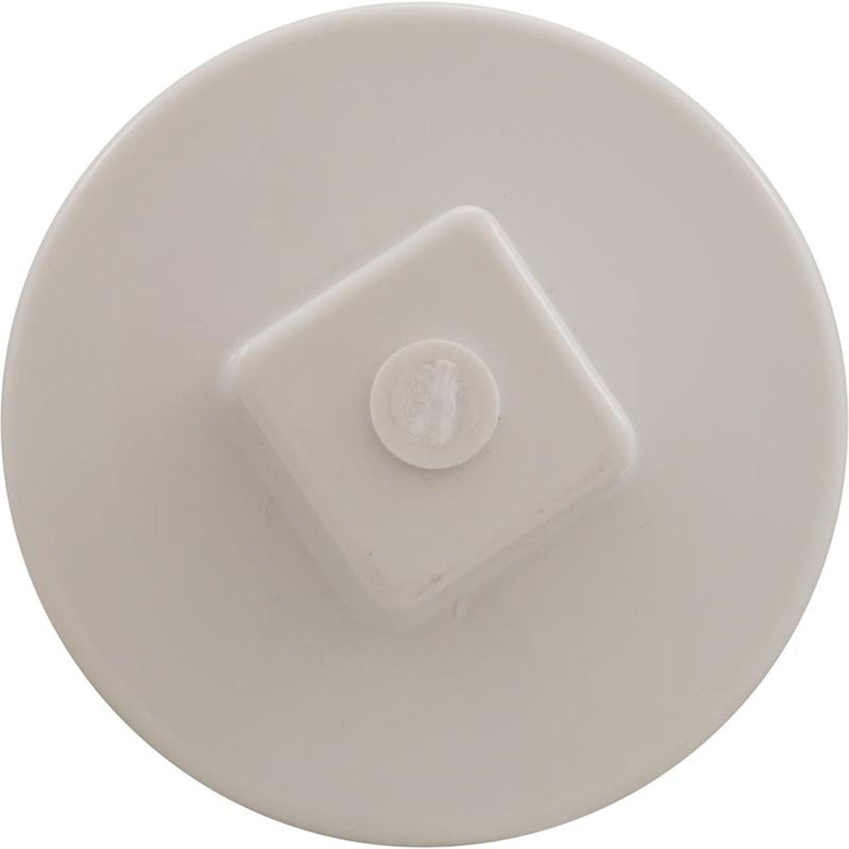Plug, Main Drain, 2", Gunite