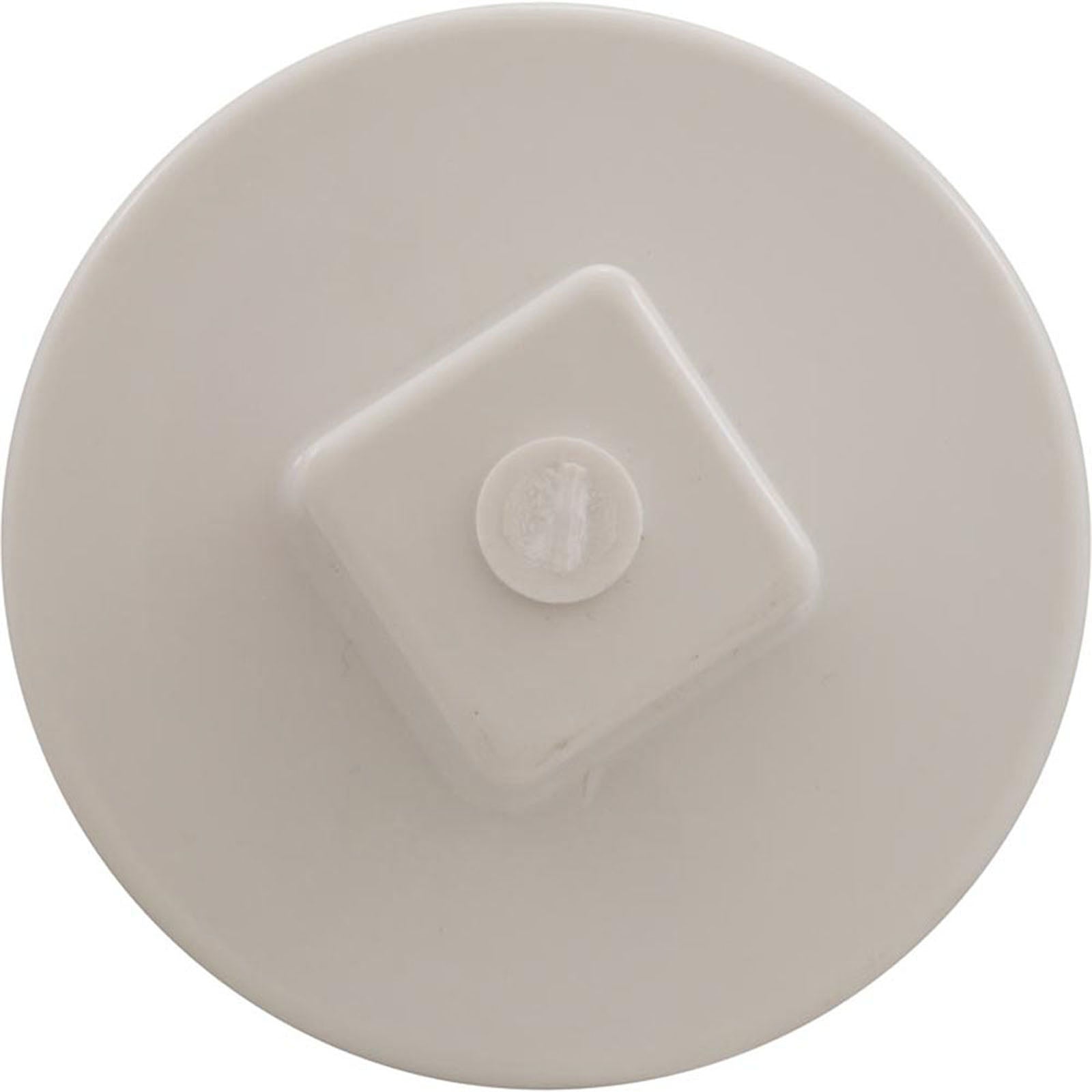 Plug, Main Drain, 2", Gunite