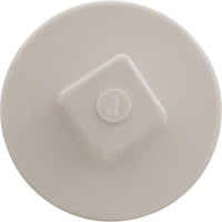 Plug, Main Drain, 2", Gunite