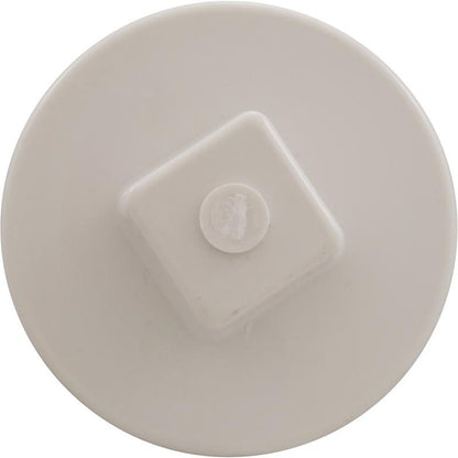 Plug, Main Drain, 2", Gunite