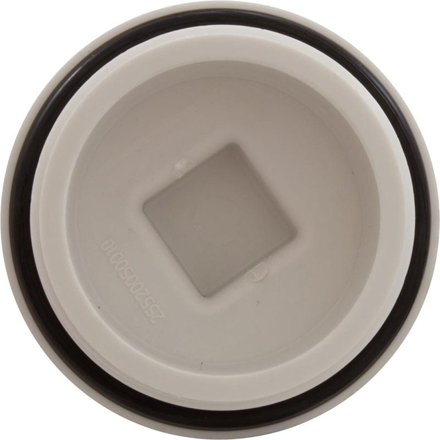 Plug, Main Drain, 2", Gunite