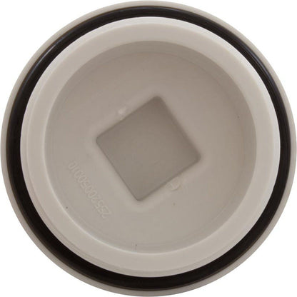 Plug, Main Drain, 2", Gunite