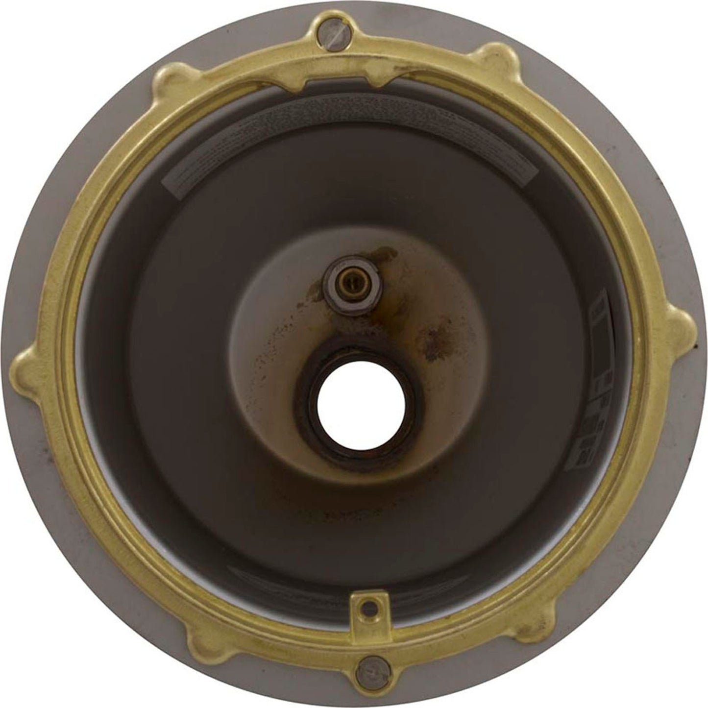 Light Niche, Pentair Small SS, 3/4" Rear Hub, Concrete