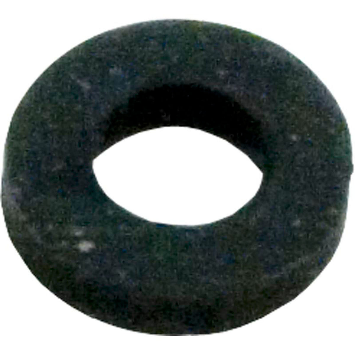 Light Screw Retainer, Sta Rite, Sunsaver, Rubber