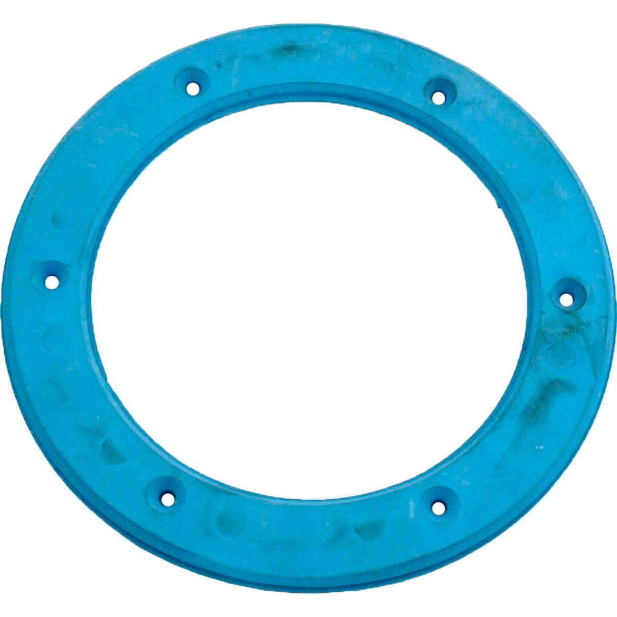 Light Niche Ring Gasket, Sta Rite, Small