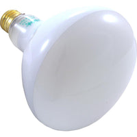 Replacement Bulb, Zodiac, 12v, 300w, Pool
